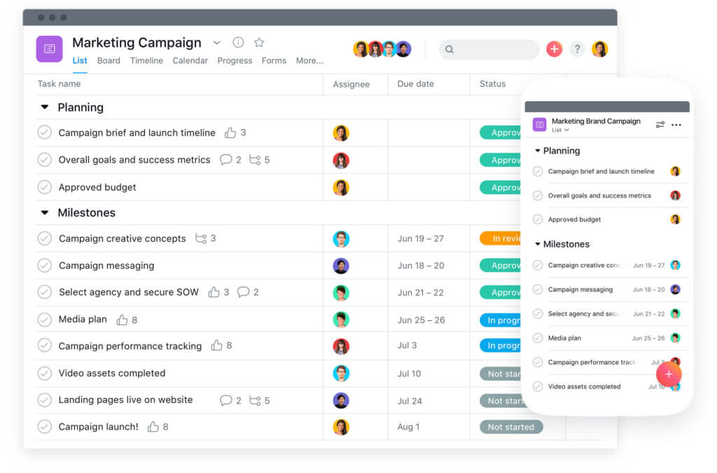 Asana marketing campaign project management